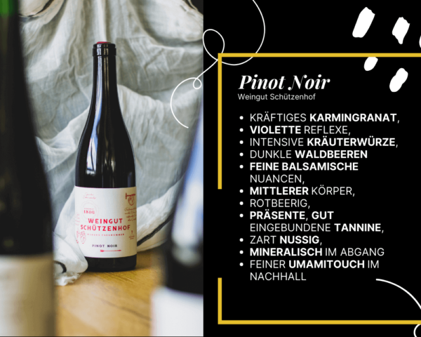 Pinot Noir Weingut Schützenhof Korkenkollektiv
